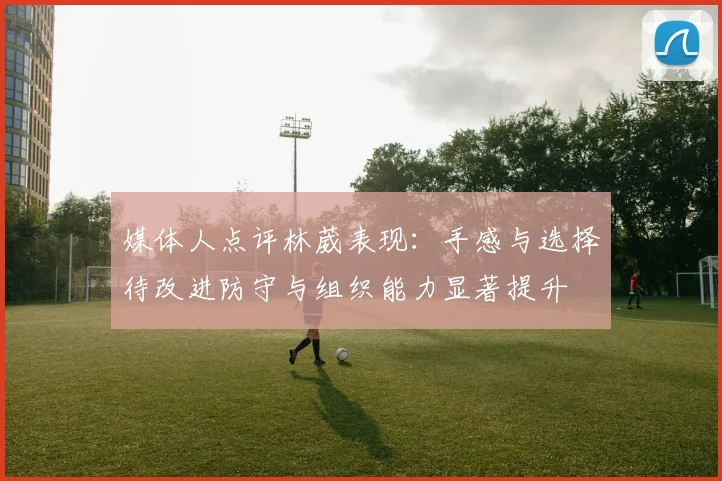 媒体人点评林葳表现：手感与选择待改进防守与组织能力显著提升